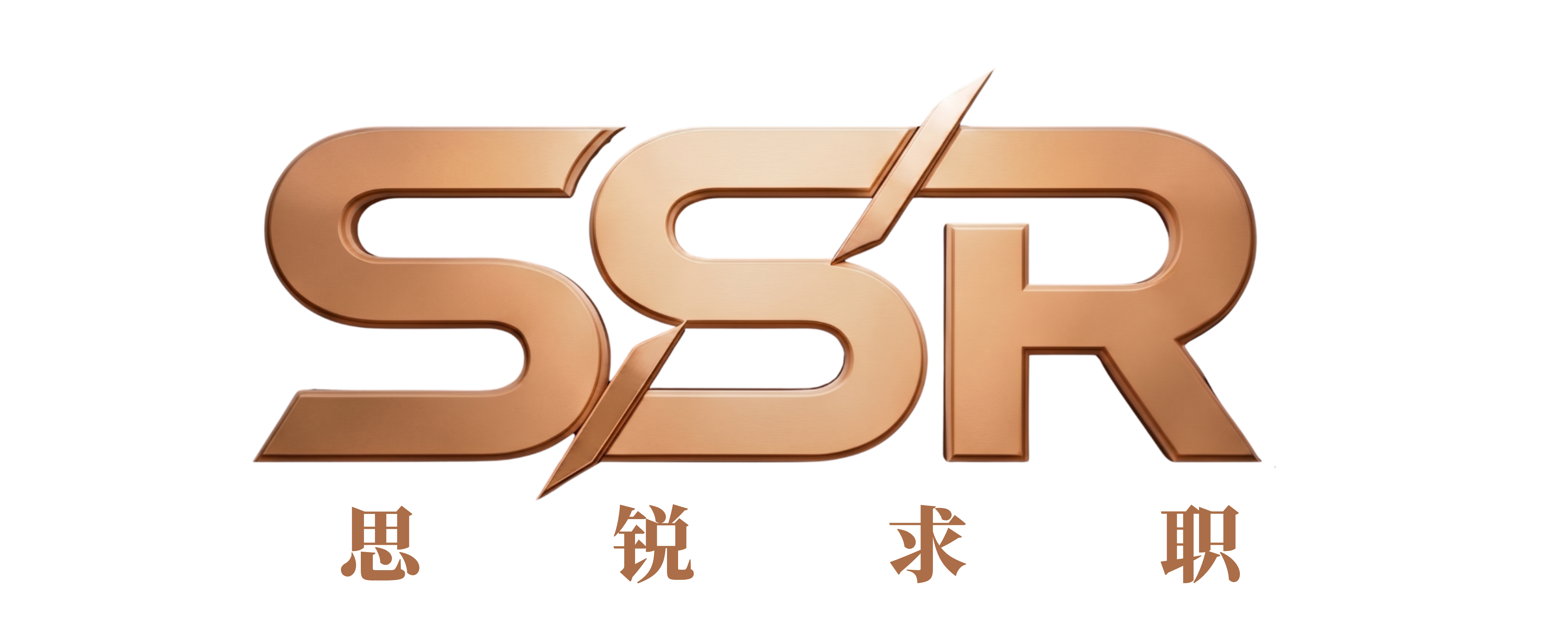 SSR 思锐求职